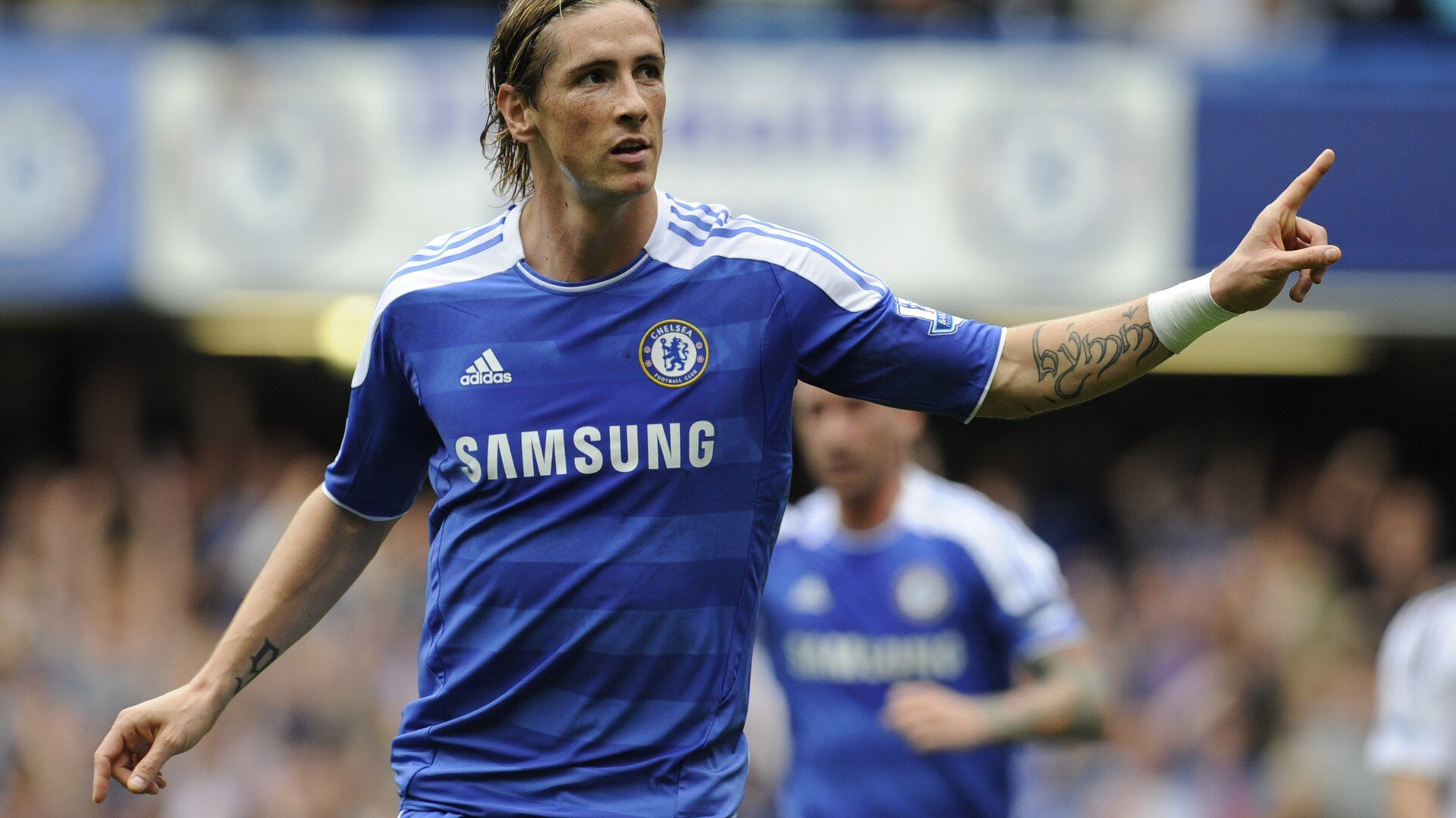 战队战略储备多样化应对版本变化更加从容,战略储备什么意思